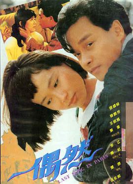 风停在你的发梢 青春爱情剧完整版